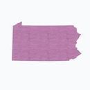 Pennsylvania&rsquo;s political geography: Where each party&rsquo;s voters come from | AP Government & Politics | Scoop.it