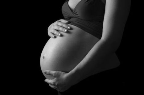 Belgique : Salon de l'auto, oui, salon du b&eacute;b&eacute;-GPA non ! | Bio&eacute;thique & Procr&eacute;ation | Scoop.it