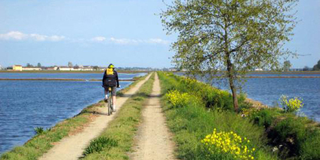 Via Francigena da percorrere anche in bici: mappe e itinerari online | EcoTurismo e Mobilità Sostenibile | Scoop.it