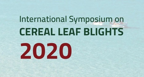 Conference: ISCLB 2020 – International Symposium on Cereal Leaf Blights 2020 | Plants and Microbes | Scoop.it