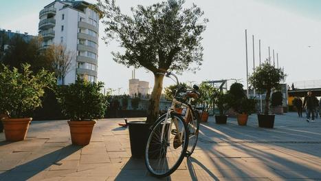 Un atelier de réparation de vélo sur le campus Moulin de la Housse à Reims | Le fil d'actualités de l'URCA | Scoop.it