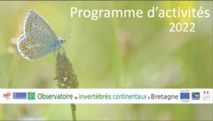 Programme d'activités 2022 de Bretagne Vivante : insectes et autres petites bêtes... | Variétés entomologiques | Scoop.it