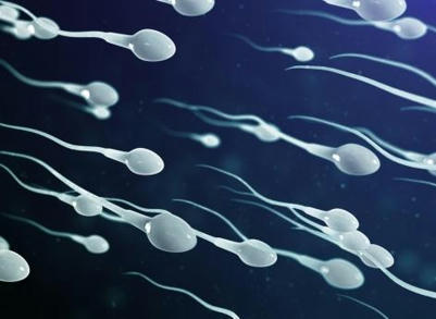Infertilité masculine : la faute des polluants ? | Perturbateurs endocriniens | Scoop.it