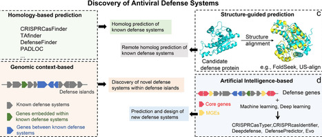 In silico approaches for discovering microbial antiviral defense systems | bft | RMH | Scoop.it