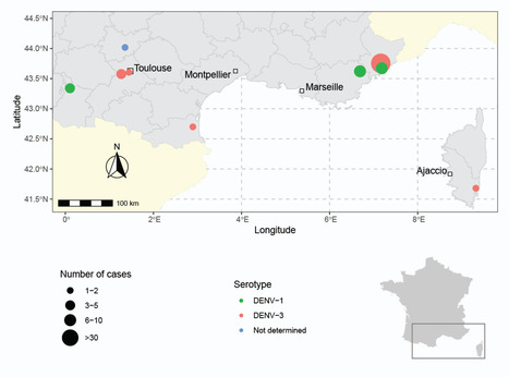 Dengue autochtone en France métropolitaine, 2022 : extension géographique et augmentation de l’incidence | COVID-19 : Le Jour d'après et la biodiversité | Scoop.it