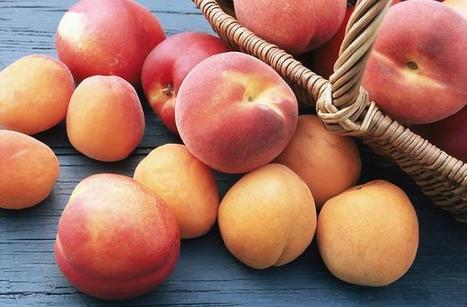 La diff&eacute;rence entre un brugnon et une nectarine...? (Fle A2-B1) | FLE | Scoop.it