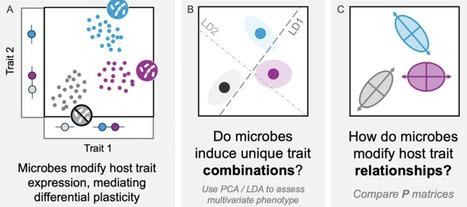 Strong effects of soil microbes on early-life defense alter phenotypic correlations in plant leaves | brvp | RMH | Scoop.it