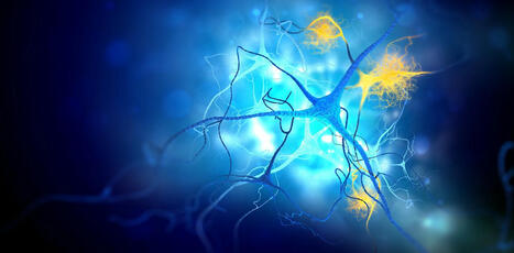 Maladie d’Alzheimer et virus de l’herpès : que dit la science sur les liens possibles ? | actualités VIH, hépatites, IST, santé sexuelle | Scoop.it