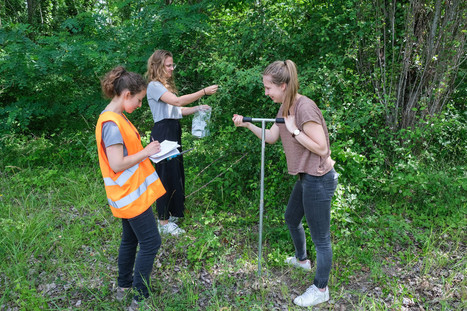 Biodiversité, les trésors de la « friche Kodak » | Biodiversité | Scoop.it