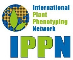 CPIB » Summer School on Image Analysis for Plant Phenotyping | Plant Sciences | Scoop.it