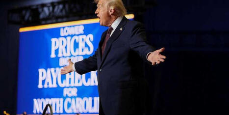 'No more!' Raging Trump threatens Dems in meltdown after 1M more Epstein docs found - Raw Story | Operation Phobos | Scoop.it