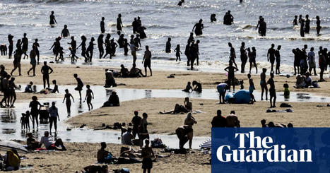 Netherlands warns children not to swallow sea foam over PFAS concerns | PFAS | The Guardian | Operation Deimos | Scoop.it