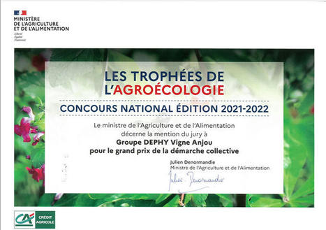 Mention spéciale pour le Groupe DEPHY Vigne Anjou ! - Collectifs Agroecologie | Pour innover en agriculture | Scoop.it