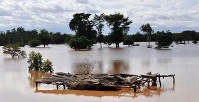 Un demi million de personnes sinistrées au Niger suite aux pires inondations depuis plus de 80 ans | Questions de développement ... | Scoop.it