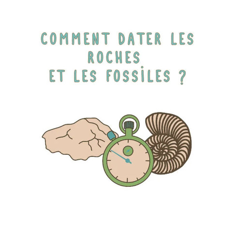 Webinaire n°3 - Abder El Albani - La datation des roches et fossiles | EntomoScience | Scoop.it