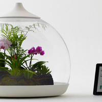 Now you can control plants with your iPhone | Technology and Gadgets | Scoop.it