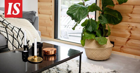 Saako sohvan sijoittaa patterin eteen? Asiantuntija vastaa | 1Uutiset - Lukemisen t&auml;hden | Scoop.it