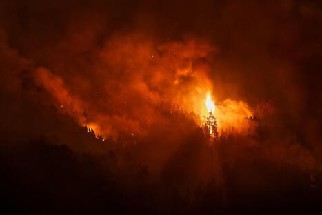 "C'est tout un milieu qui dispara&icirc;t" : un photographe amoureux des Pyr&eacute;n&eacute;es, t&eacute;moin des incendies et du r&eacute;chauffement climatique | Vall&eacute;es d'Aure & Louron - Pyr&eacute;n&eacute;es | Scoop.it