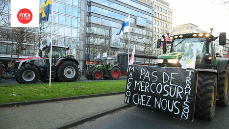 Maanviljelij&auml;t vastustavat Mercosur-sopimusta Brysseliss&auml; | MTV Uutiset | 1Uutiset - Lukemisen t&auml;hden | Scoop.it