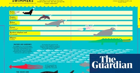 Infographics for children: what they can learn from data visualisations | News | The Guardian | Le Quy Don & VAS: Creative teaching and learning | Scoop.it