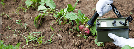 Contamination alimentaire en cas d'accident nucléaire : la révision ... - Actu-Environnement.com | Santé au travail  - Santé et environnement | Scoop.it