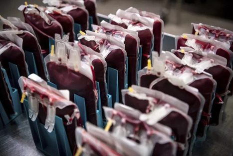 Artificial Blood That Could Work for All Blood Types in Trials | Healthcare: reloaded... | Scoop.it
