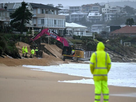 Un rapport prédit des effets "en cascade" du changement climatique en Australie - Sciences & Avenir | Biodiversité | Scoop.it