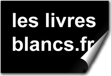 Livre blanc : État des lieux de la Social TV en France. Quelles opportunités pour les diffuseurs et les annonceurs ? | Libertés Numériques | Scoop.it