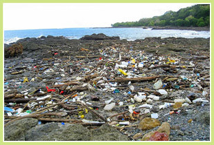 Human Impact on the Environment - The Consequences | CLIMATE CHANGE WILL IMPACT US ALL | Scoop.it