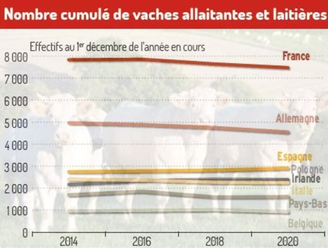 « L’Europe est en quasi-pénurie de viande bovine » | Lait de Normandie... et d'ailleurs | Scoop.it