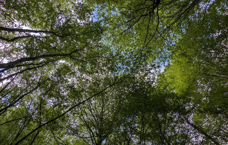 Ecologie&nbsp;: 61&nbsp;% des Fran&ccedil;ais veulent une &laquo;&nbsp;mise en pause&nbsp;&raquo; des politiques environnementales face &agrave; la crise &eacute;nerg&eacute;tique | Plan&egrave;te DDurable | Scoop.it