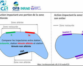 Centre de ressources Natura 2000 | Biodiversité | Scoop.it