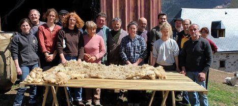 Beyrède-Jumet : la tonte des brebis Aure-Campan | Vallées d'Aure & Louron - Pyrénées | Scoop.it