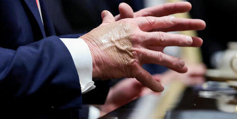'It's a sign!' New White House photo of Trump 'with devil horns' sparks online frenzy - Raw Story | Backstabber Watch | Scoop.it