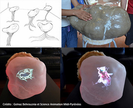 Connexa Viva : projet artistique reliant sculpture, création numérique et recherche biologique | Cabinet de curiosités numériques | Scoop.it