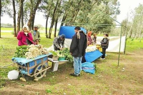 En situation de précarité, des villageois sortent de l'ornière grâce à l'agro-écologie | GREENEYES | Scoop.it