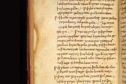 Anglo Saxon remedy kills hospital superbug MRSA | No Such Thing As The News | Scoop.it