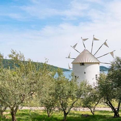 This Japanese island is obsessed with all things olive, from olive oil to olive chocolate. | OLIVE NEWS | Scoop.it