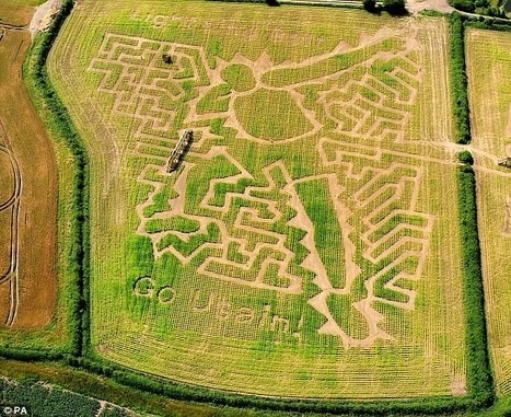 Giant 15-acre maze pays tribute to Olympic champion Usain Bolt | Bolt and London 2012 | Scoop.it