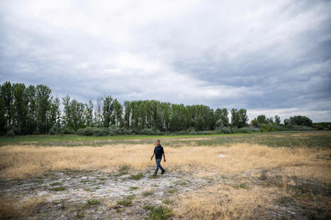 RESOURCES: China and the Hungarian Water Crisis | RESSOURCES | Scoop.it