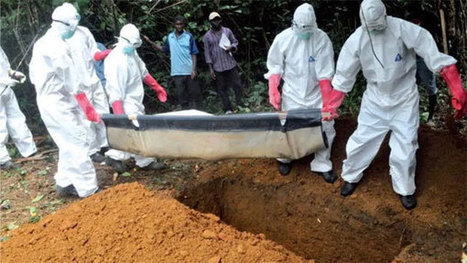 Inhumation des personnes décédées du Covid-19 : Le protocole d’inhumation toujours en vigueur | Lequotidien Journal d'informations Générales | Rapatriement de corps | Scoop.it