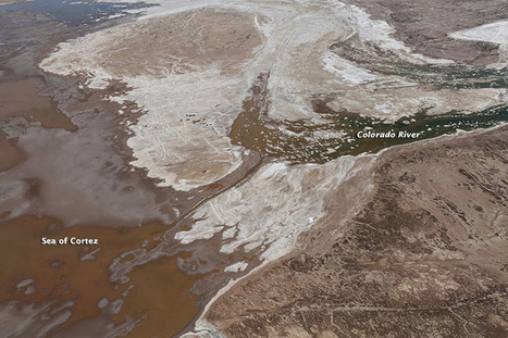 Colorado River Reaches the Sea of Cortez | water news | Scoop.it