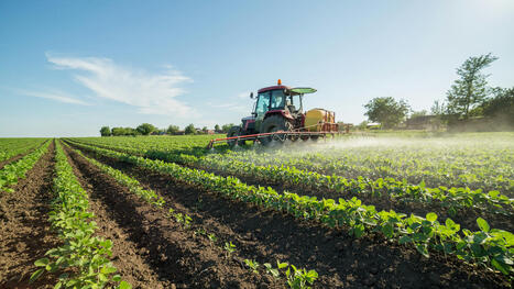 Résidus de pesticides dans les aliments : quelle est la situation dans l’UE ? | EFSA | Alimentation Santé Environnement | Scoop.it