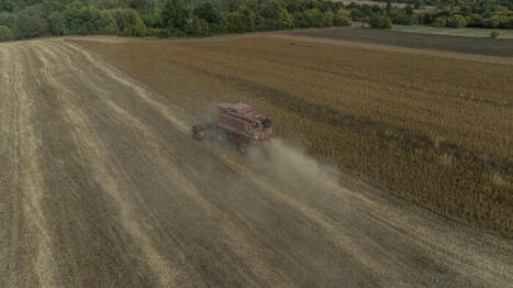 L'ECHO DEMETER : Russie-Ukraine : aux racines agricoles d'un bouleversement mondial | L'ECHO DEMETER | Scoop.it