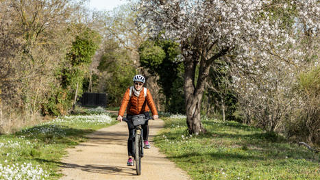 Oenovélo : 3 jours à vélo de Saint-Chinian au Canal du Midi | Loisirs Nature dans l'Hérault | Scoop.it