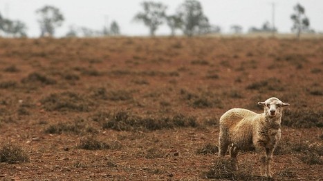El Nino May Return as Models Signal Warming of Pacific Ocean | Capstone: An ESRM Coda | Scoop.it