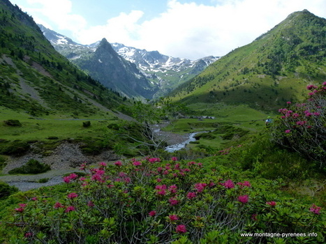 Sortie au Moudang - Montagne Pyrénées | Vallées d'Aure & Louron - Pyrénées | Scoop.it