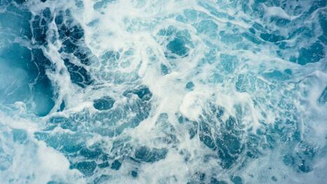 Nouvelles mesures de protection de l&rsquo;oc&eacute;an, un an apr&egrave;s la conf&eacute;rence de Nice - Le Courrier Picard | Biodiversit&eacute; | Scoop.it