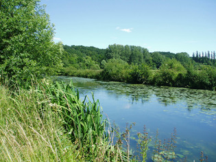 Panorama de la Biodiversité | Une semaine d'actu - Newsletter de veille de l'AURH | Scoop.it