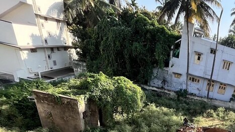 Homeowner stunned after neighbor's thoughtless act in backyard: 'I'm feeling utterly defeated' | Industry 411 - Waste Management | Scoop.it